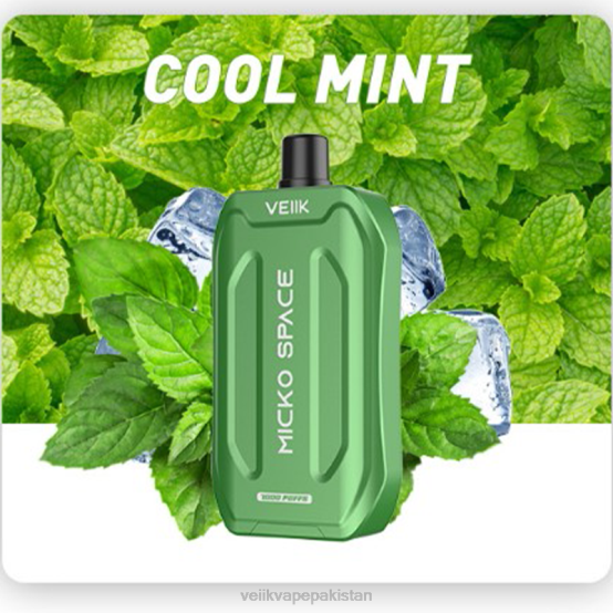 Cool Mint